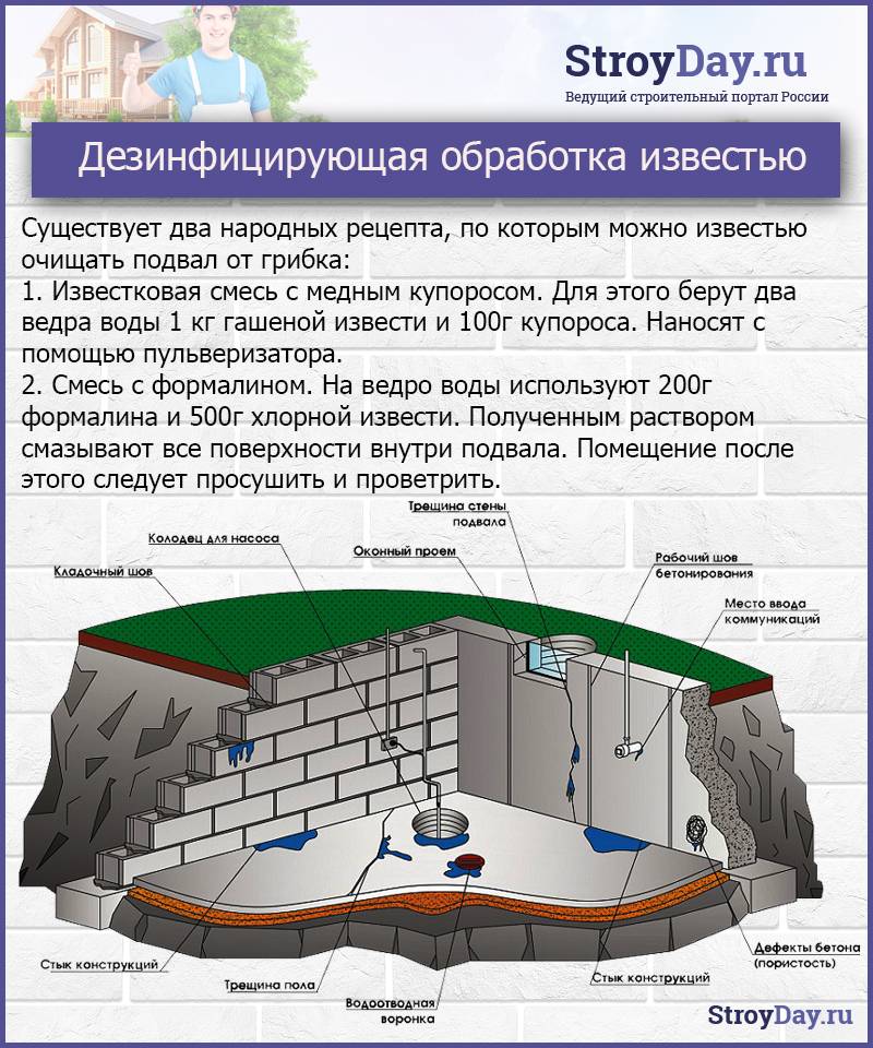 Как избавиться от грибка и плесени в погребе: средства, советы, видео