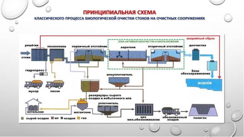 Биологические очистные сооружения - принцип работы и виды оборудования