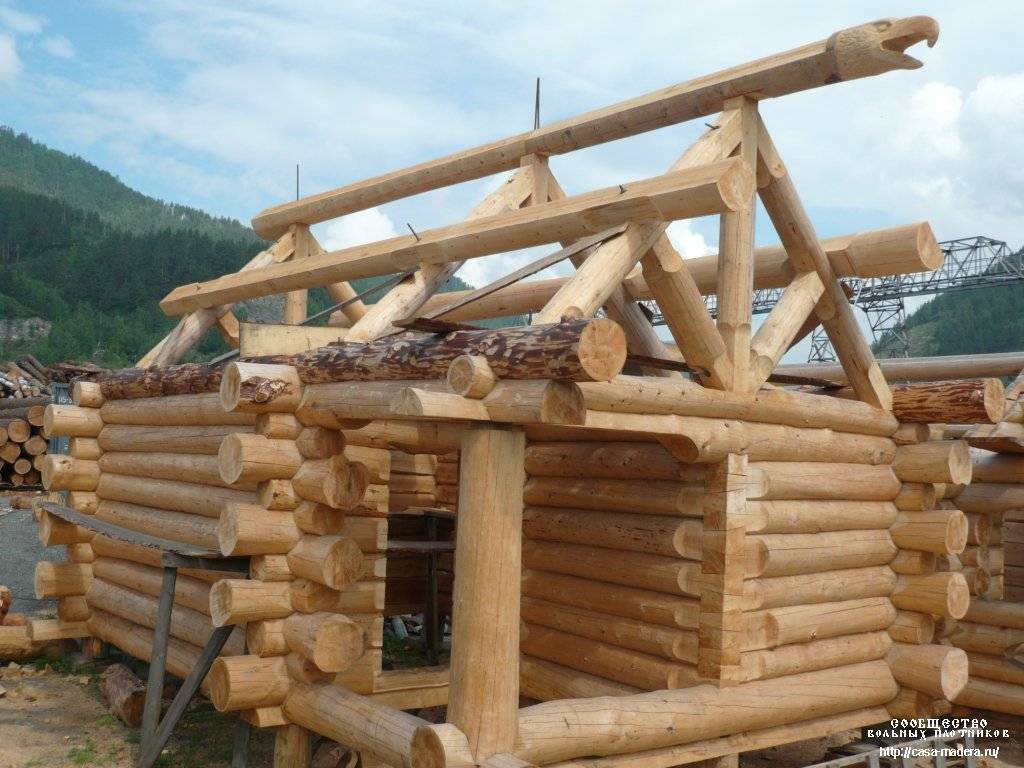Баня своими руками. проекты, фото, чертежи и видео