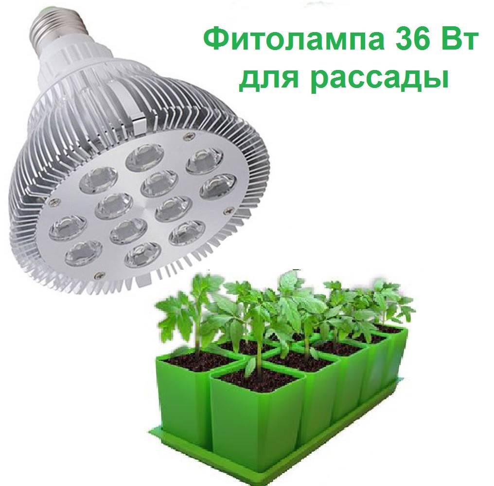 Изготовление светодиодного освещения для растений своими руками