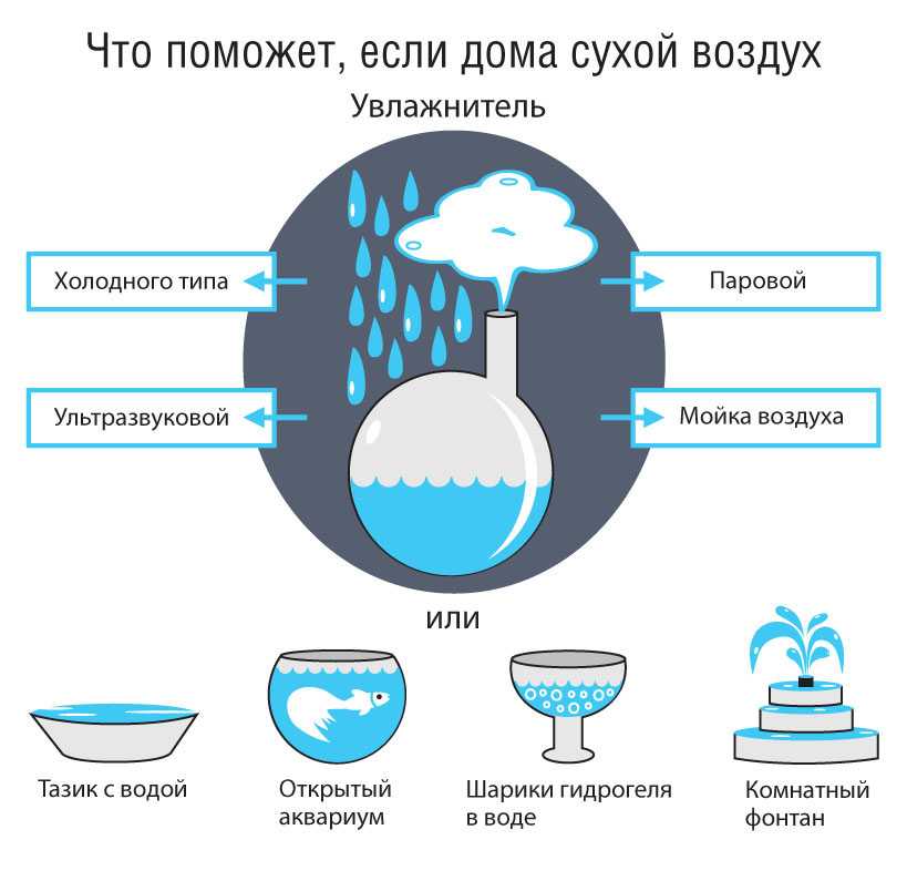 Как выбрать увлажнитель для квартиры: типы увлажнителя, параметры увлажнителей, ошибки при выборе и смене фильтров увлажнителей