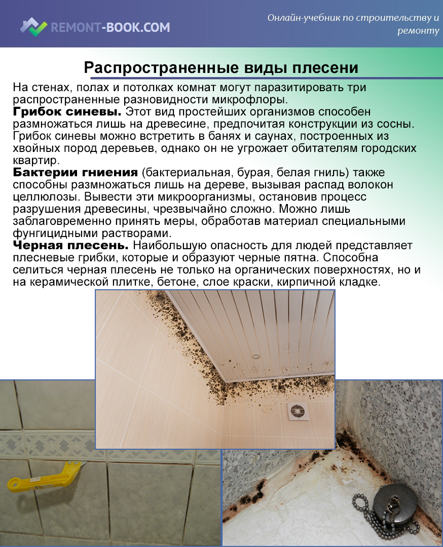 Как удалить плесень в ванной комнате - wikihow
