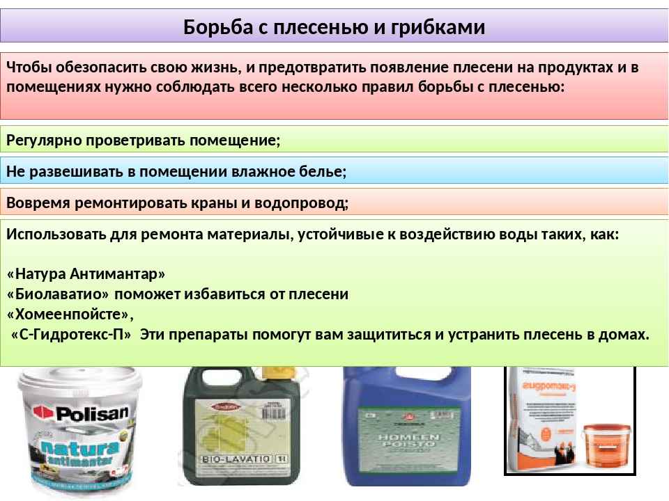 Как избавиться от плесени и грибка в ванной, швах между плиткой и герметике
