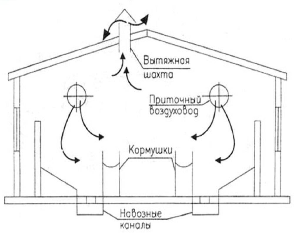 Вентиляция в курятнике: как своими руками по схеме правильно сделать вытяжку из пластиковых труб на зиму без электричества и сквозняков? фото приточного устройства selo.guru — интернет портал о сельском хозяйстве