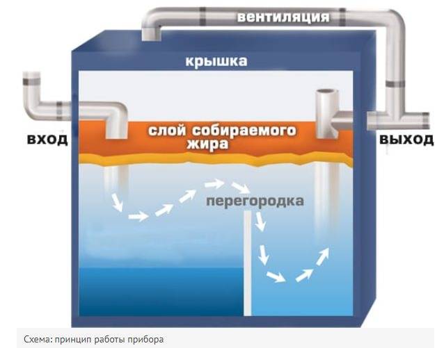 Жироуловители на канализацию — виды, правила выбора + порядок установки