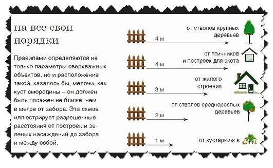 Схема посадки яблонь на участке от забора