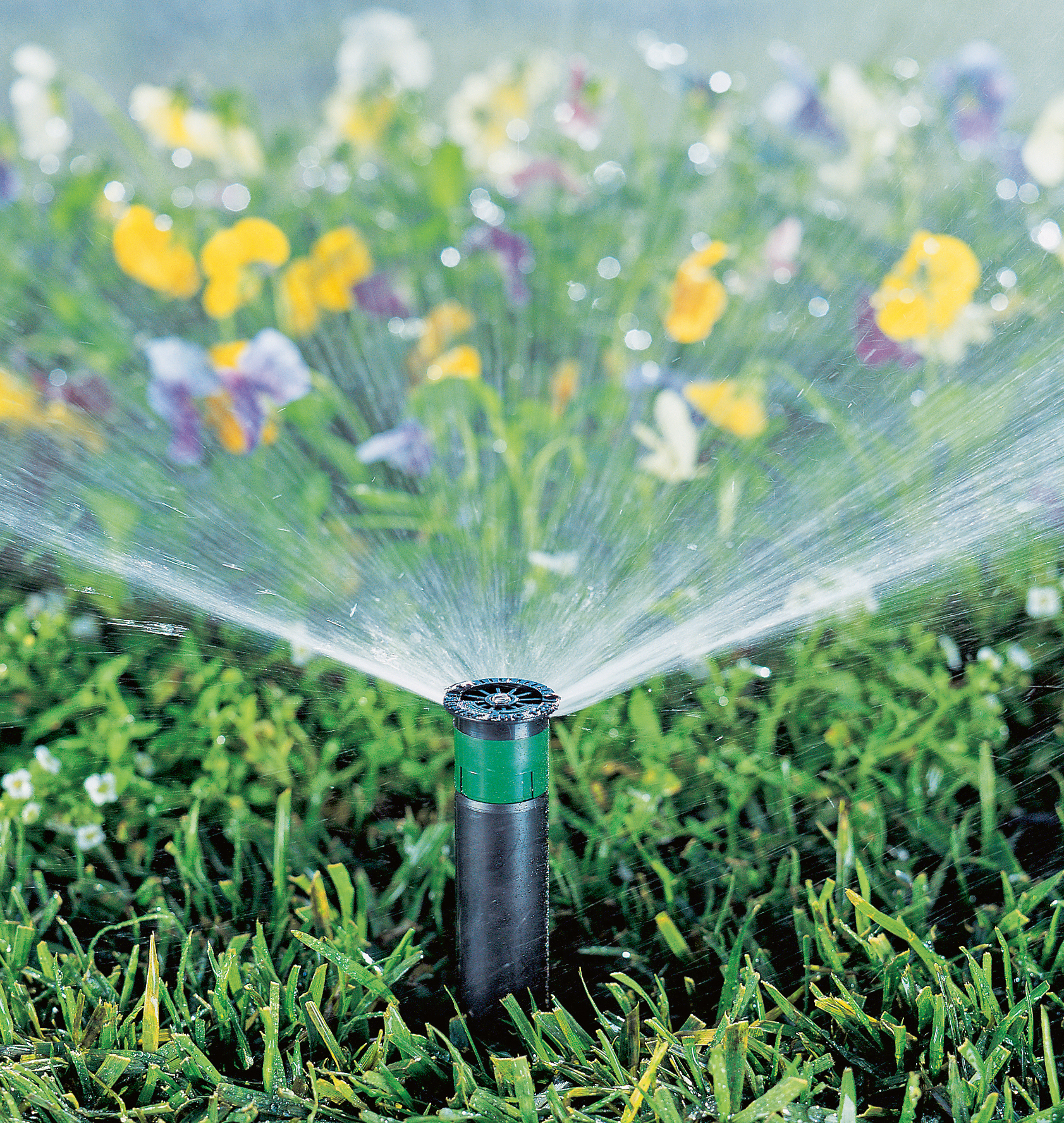 Можно ли поливать огород и газон водой из скважины - дачный мир