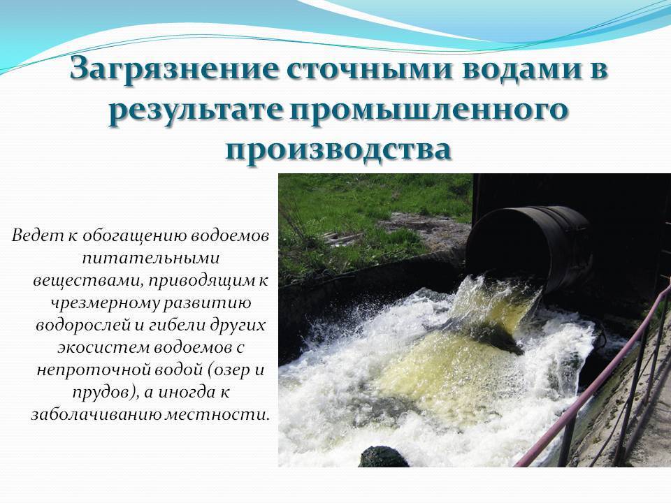 Мутная вода в колодце: причины, что делать, как очистить + видео