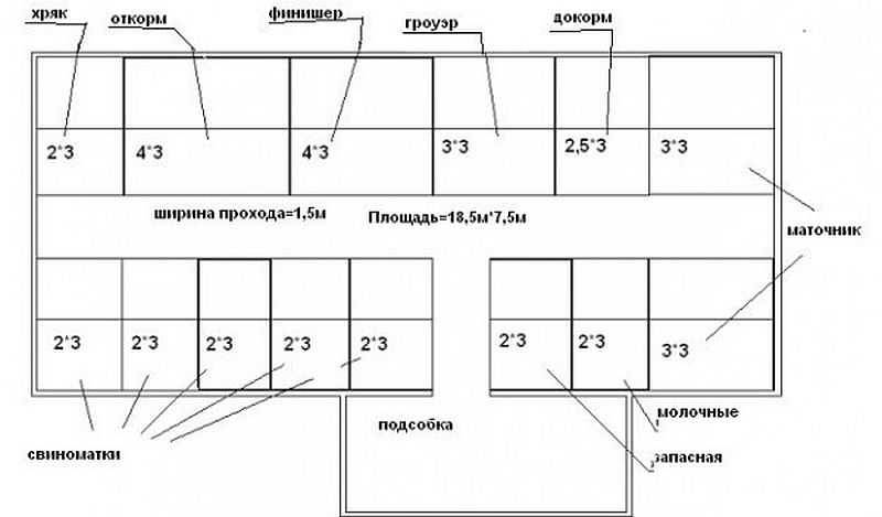 Сарай для свиней своими руками: как сделать и построить