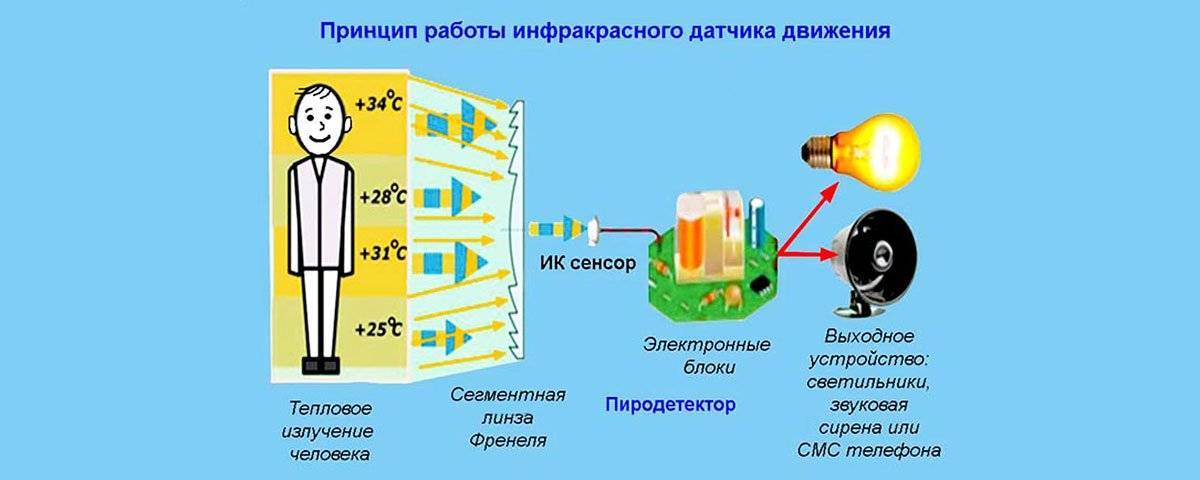 Структура датчик движения. Принцип действия инфракрасного датчика движения. Инфракрасный датчик движения принцип работы. Датчик движения принцип действия датчик устройство. Принцип работы детектора движения.