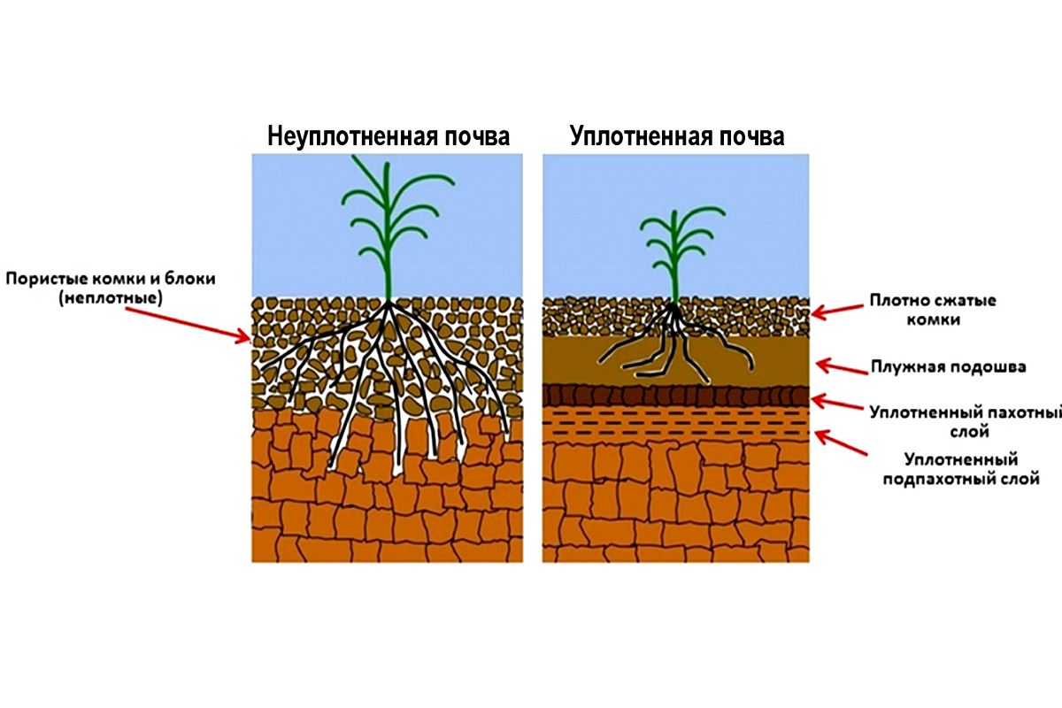 Биологическая очистка воды
