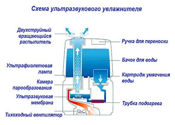 Увлажнитель воздуха с ионизатором: какой выбрать