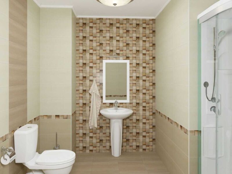 Виды и типы плитки для отделки туалета, советы по выбору и дизайнерские решения