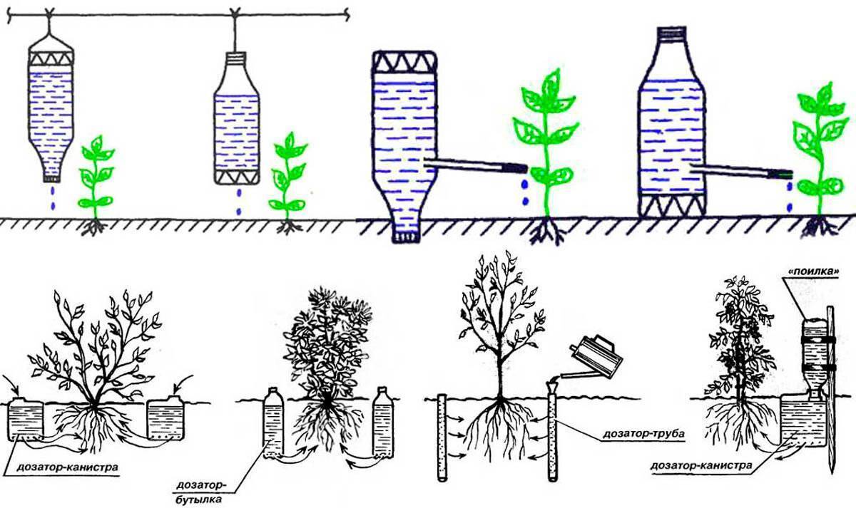 Сделать полив своими руками. Капельный полив в теплице схема. Система капельного полива своими руками в теплице. Капельное орошение из пластиковых бутылок и системы. Капельное орошение в теплице схема.