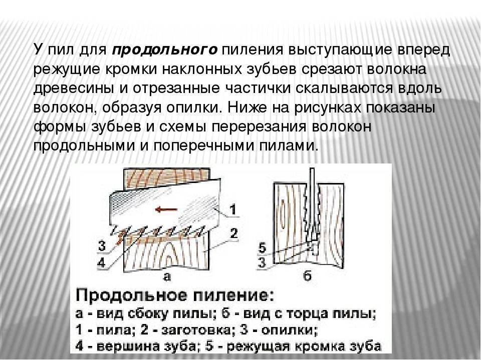 Продольное пиление древесины. Пилы для поперечного пиления продольного пиления. Пилы для пиления древесины вдоль волокон. Пила для продольного пиления древесины форма зуба. Продольное и поперечное пиление древесины.