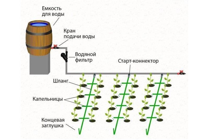 Сделать капельный полив в теплице из бочки. Схема подключения бочки капельный полив. Схема сборки системы капельного полива. Схема установки капельного полива из бочки. Схема подключения бочки для капельного полива.