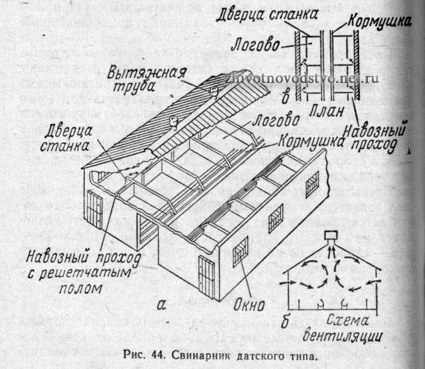 Как построить свинарник своими руками, как сделать проект на 100 голов