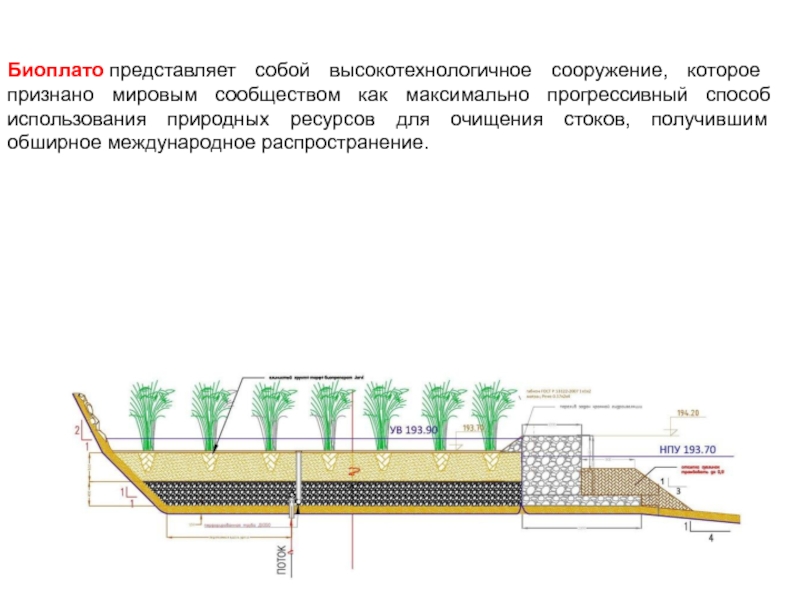 Очистка стоков при помощи грунтово-корневой системы
