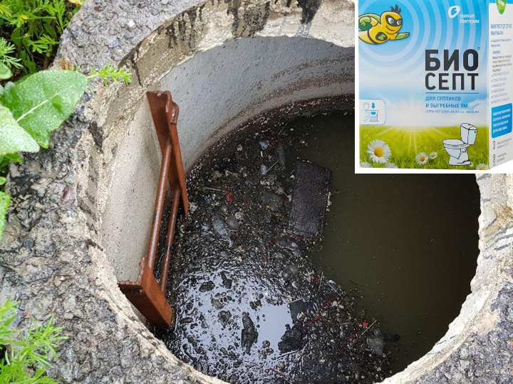 Выгребная яма не впитывает воду: причины быстрого наполнения и что делать