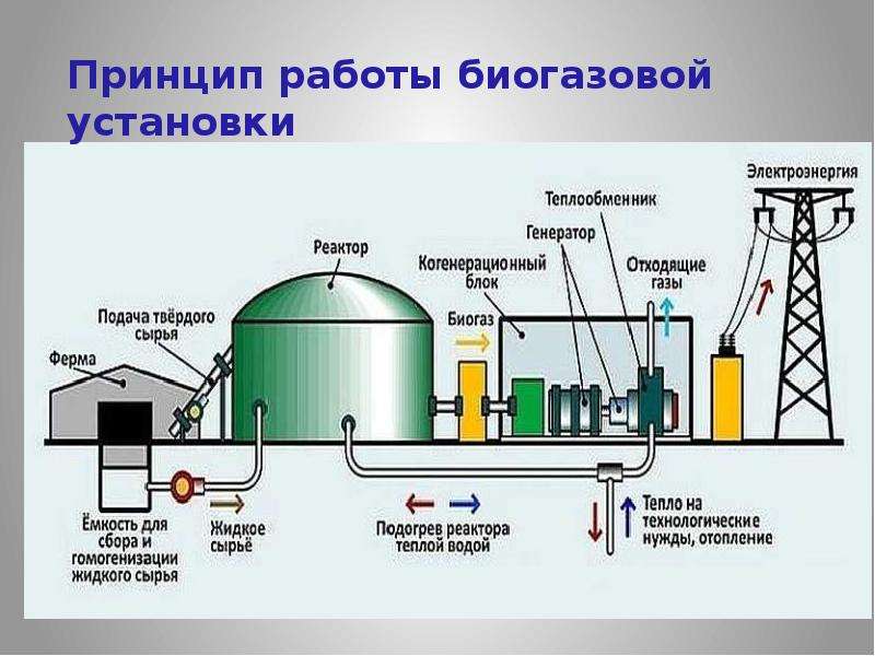 Производство биогаза из навоза: готовое оборудование и самодельная установка