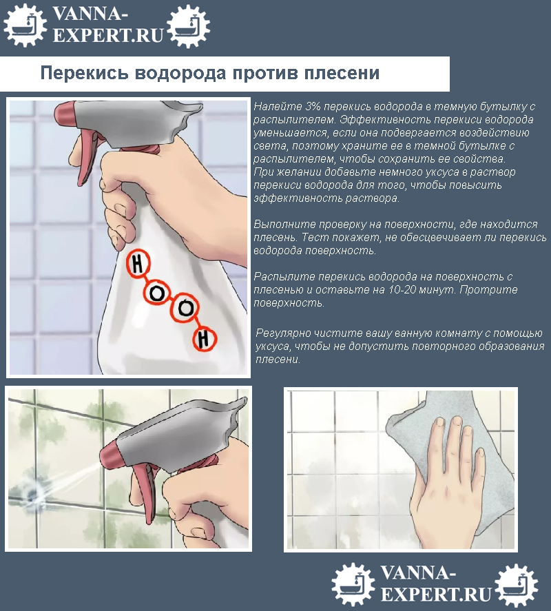 Грибок в ванной: причины, 6 методов выведения, профилактика
