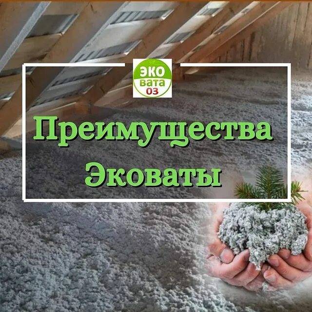 Эковата как утеплитель – преимущества и недостатки