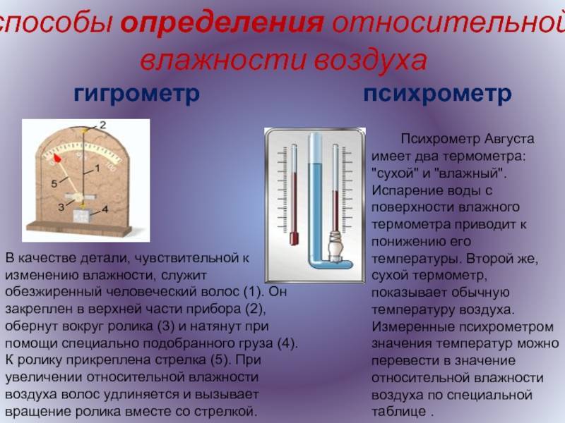 Прибор для измерения влажности воздуха в помещении: самые точные модели