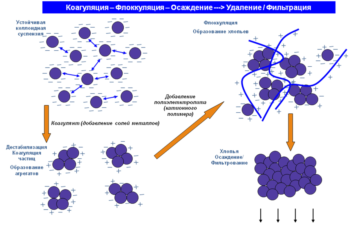 Флокуляция и коагуляция в жидких дисперсных системах