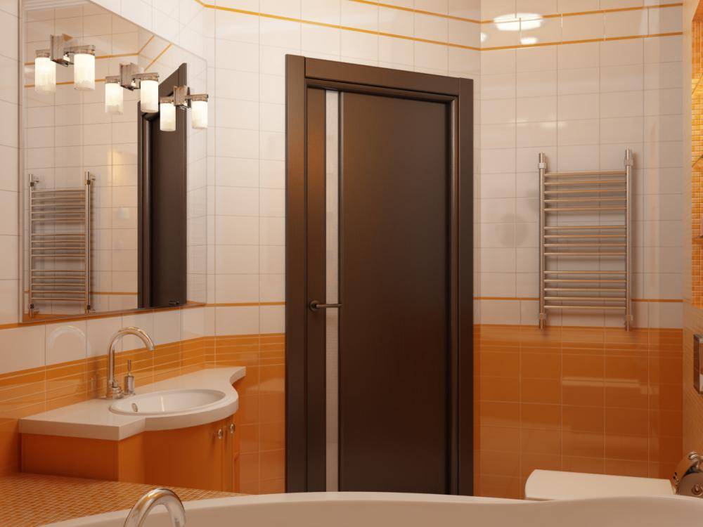 Какую дверь поставить в ванную комнату — выбор материала (17 фото)