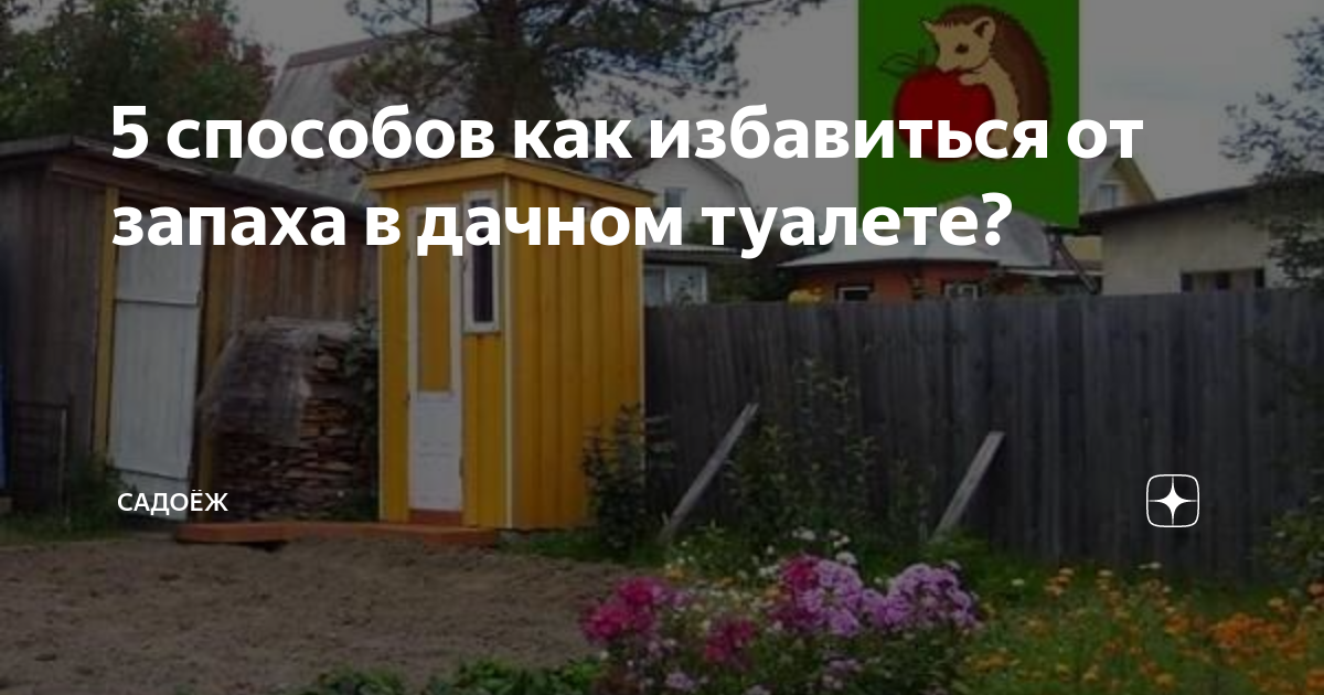 Как избавиться от запаха в уличном туалете. Уличный туалет воняет. Дачный туалет запах. Для устранения запаха в туалете на даче.