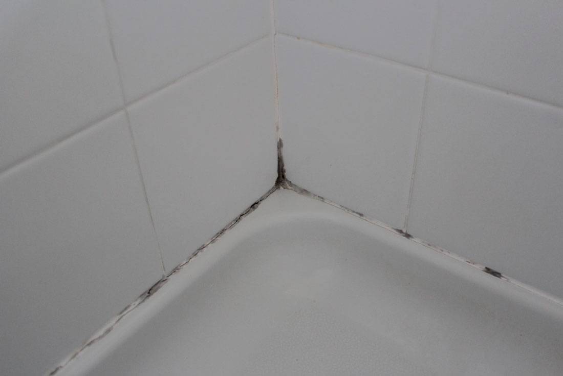 Как вывести плесень в швах между плитками в ванной