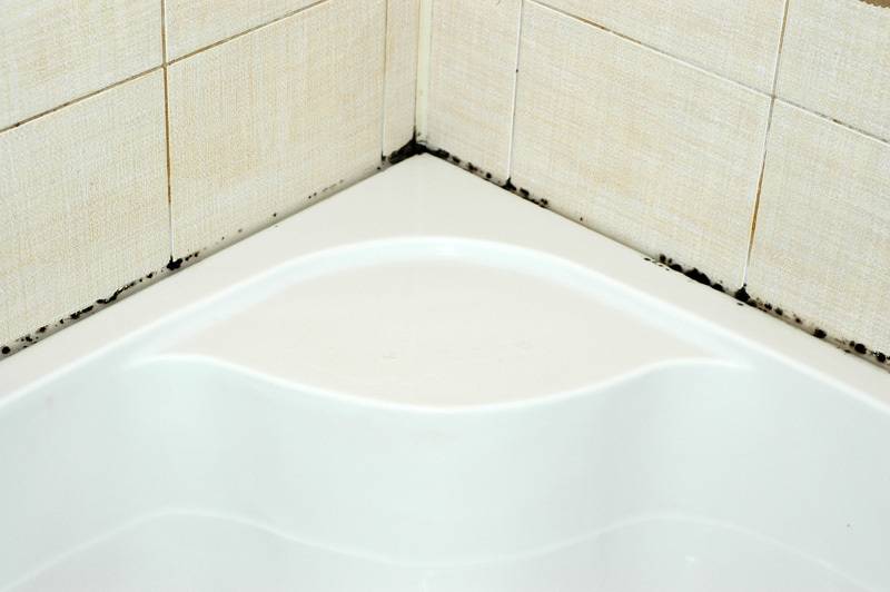 Плесень в ванной на швах плитки — причины появления и как с этим бороться