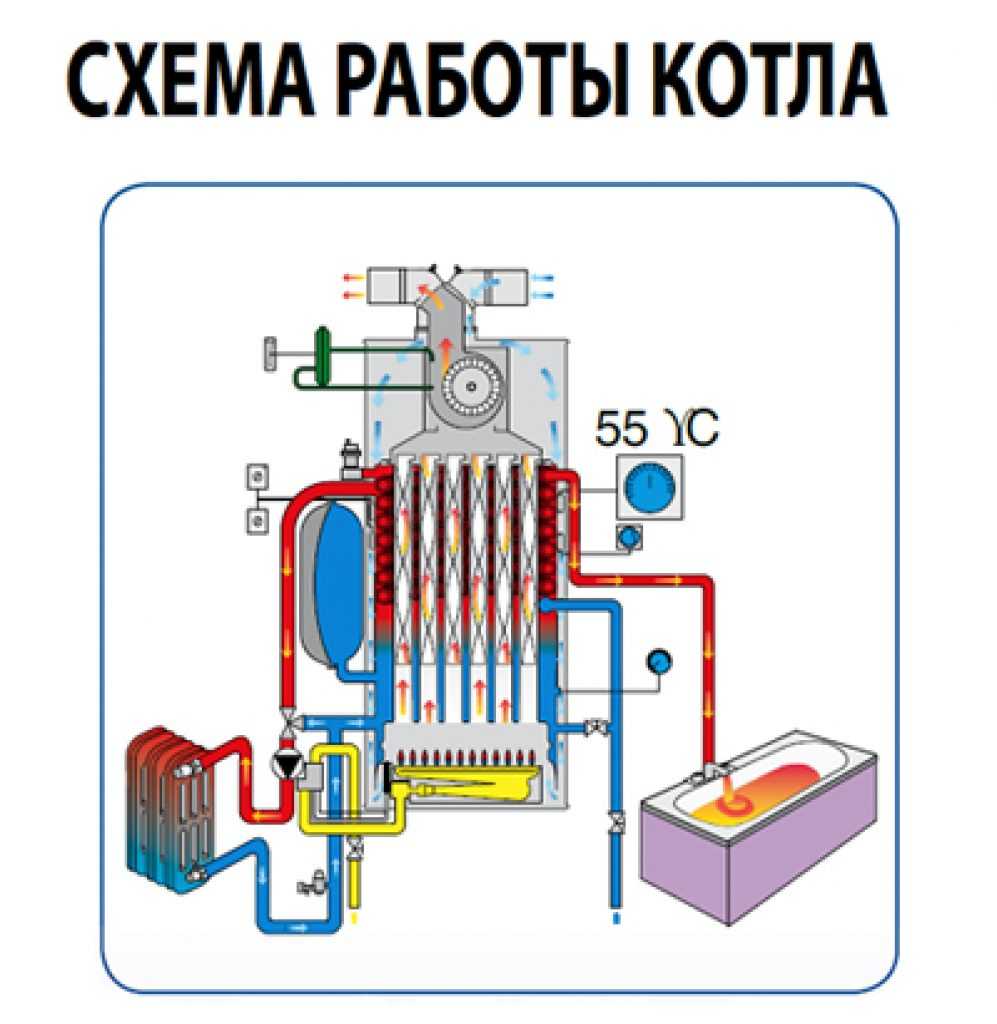 Как работает двухконтурный газовый котел: схема действия отопительного прибора