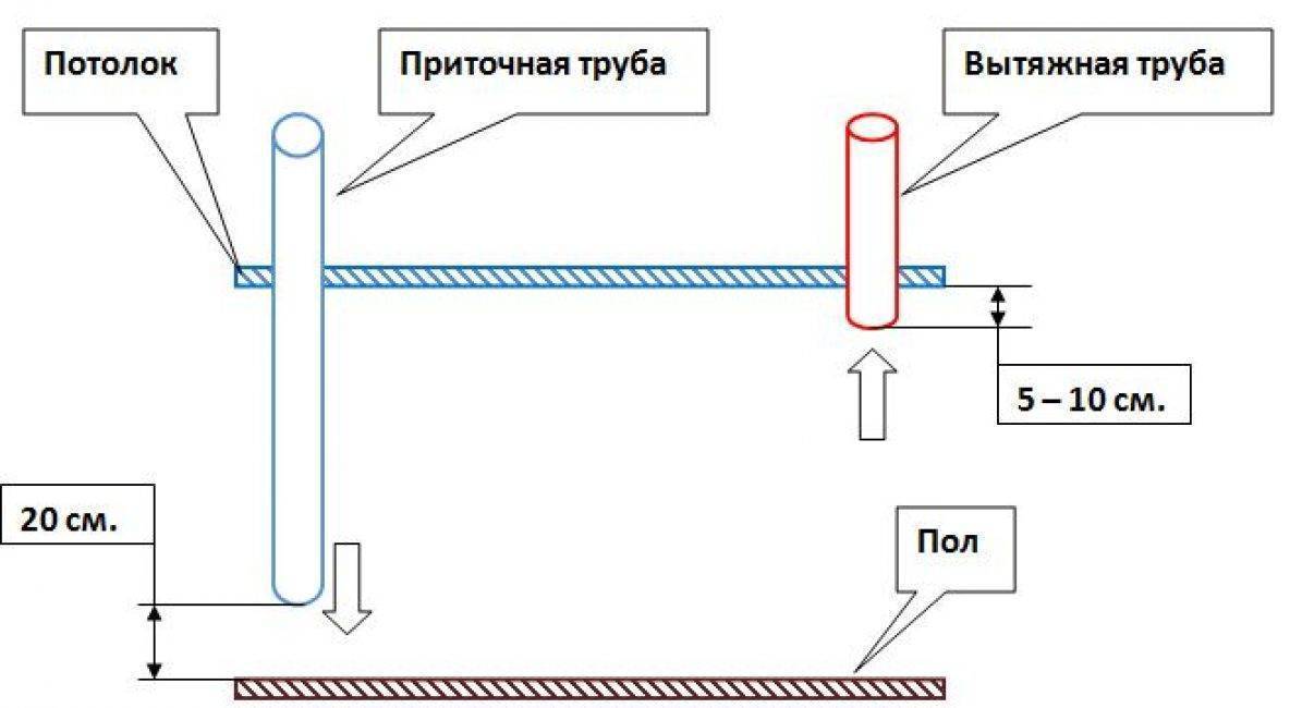 Роль вентиляции в животноводстве: назначение, параметры, варианты