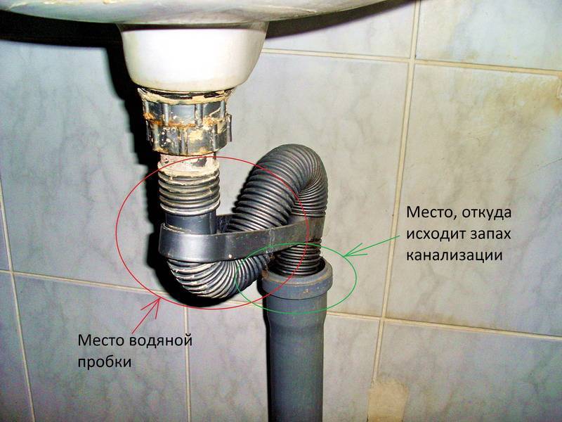 Запах из раковины на кухне: как устранить в домашних условиях самостоятельно