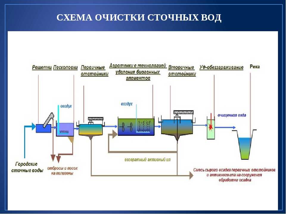 Куда уходит вода из канализации. особенности автономной канализации | интересные факты